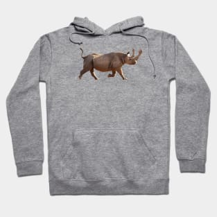 Hands off my horns! Hoodie